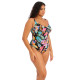 Купальник сплошной Elomi Tropical Falls 801543 (80G/H, Black)