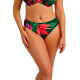Плавки Fantasie Pichola 503972-MAG XL Зелений з тропічним  принтом (193773739694 )